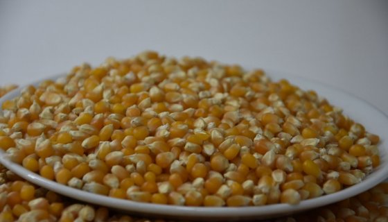 Karçek Tarım Ürünler