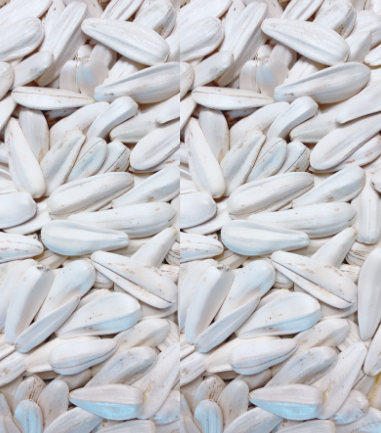 İşlenmiş Ürünler